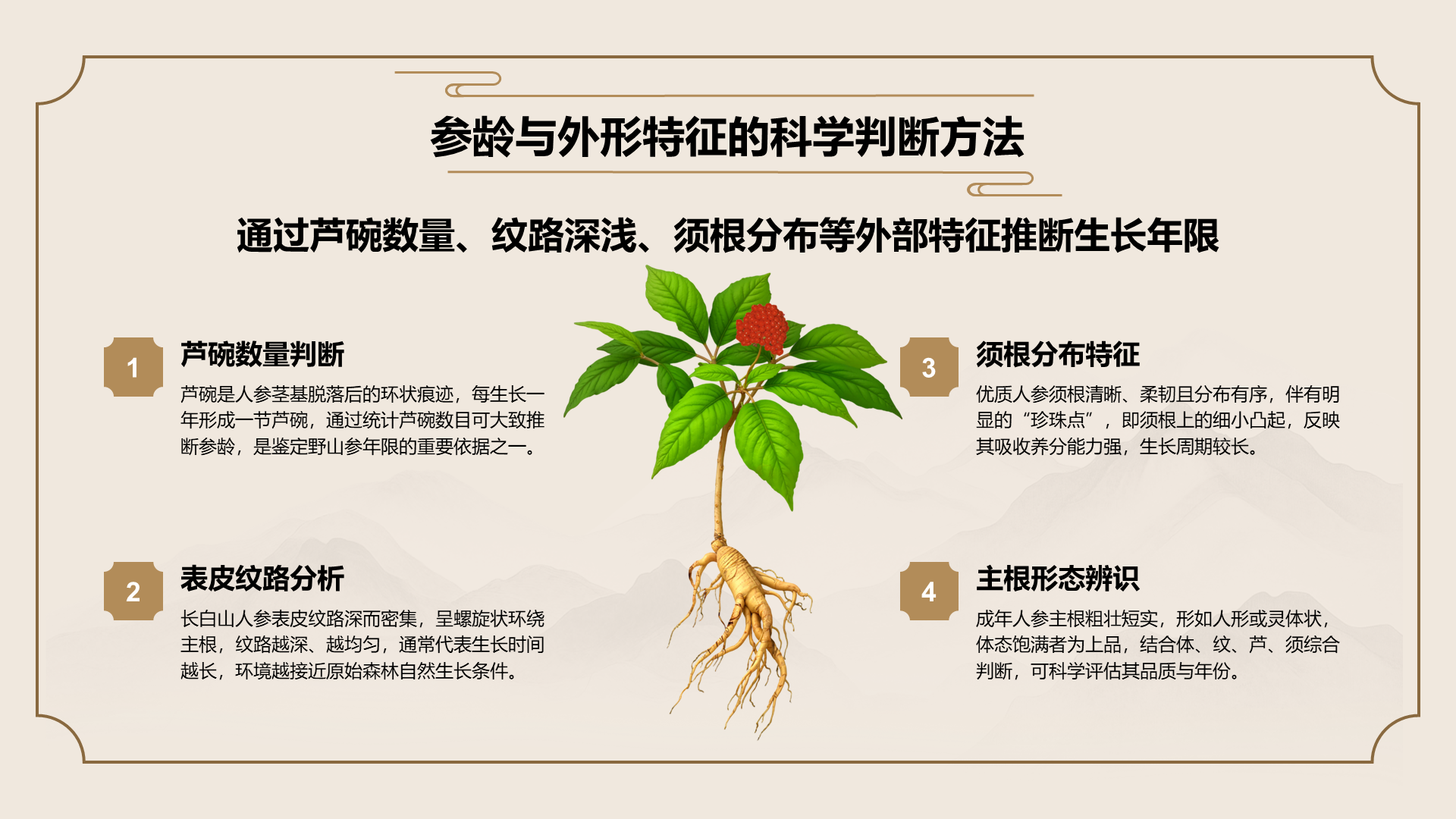 橙色国潮风长白山人参科普