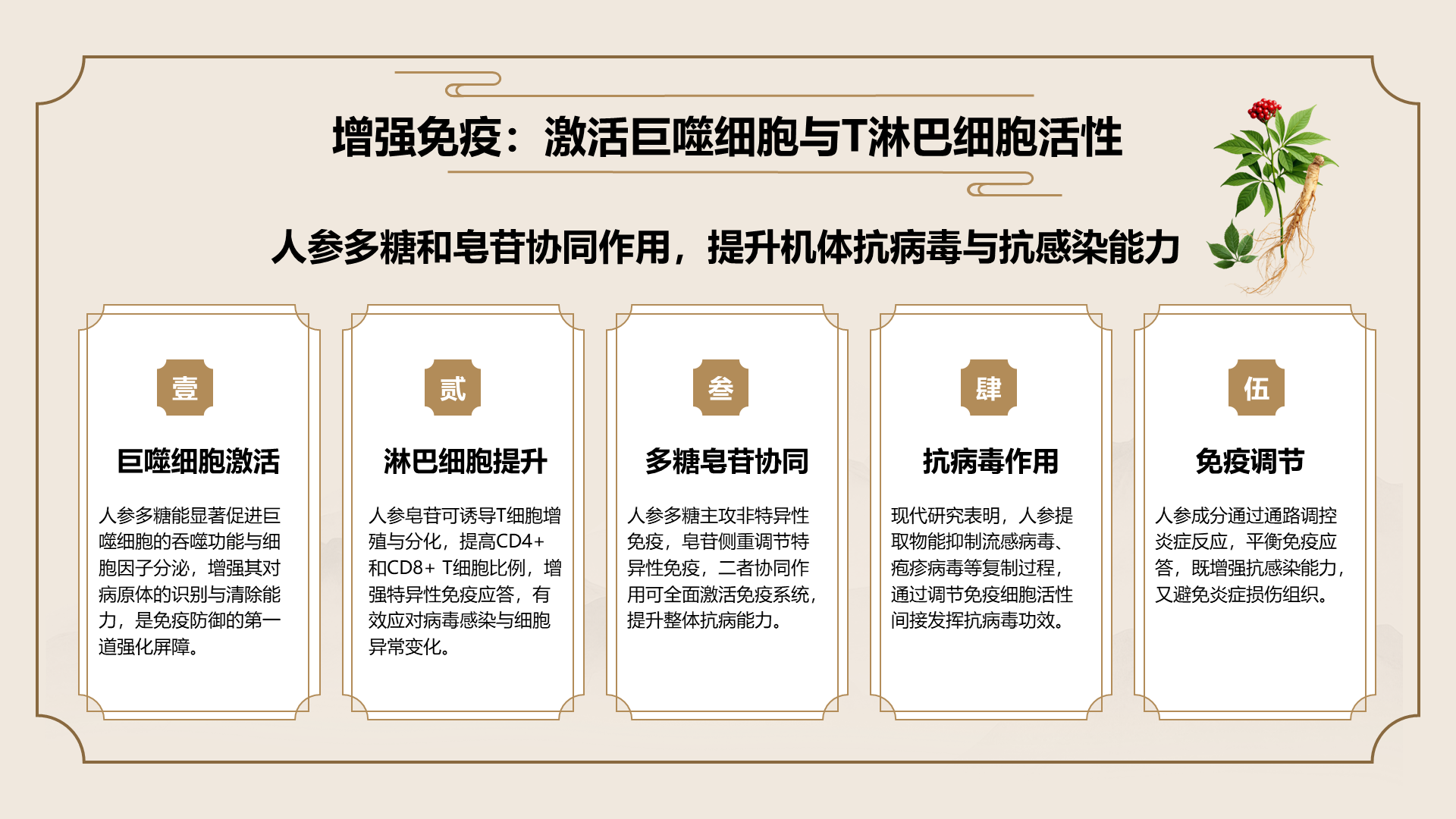 橙色国潮风长白山人参科普