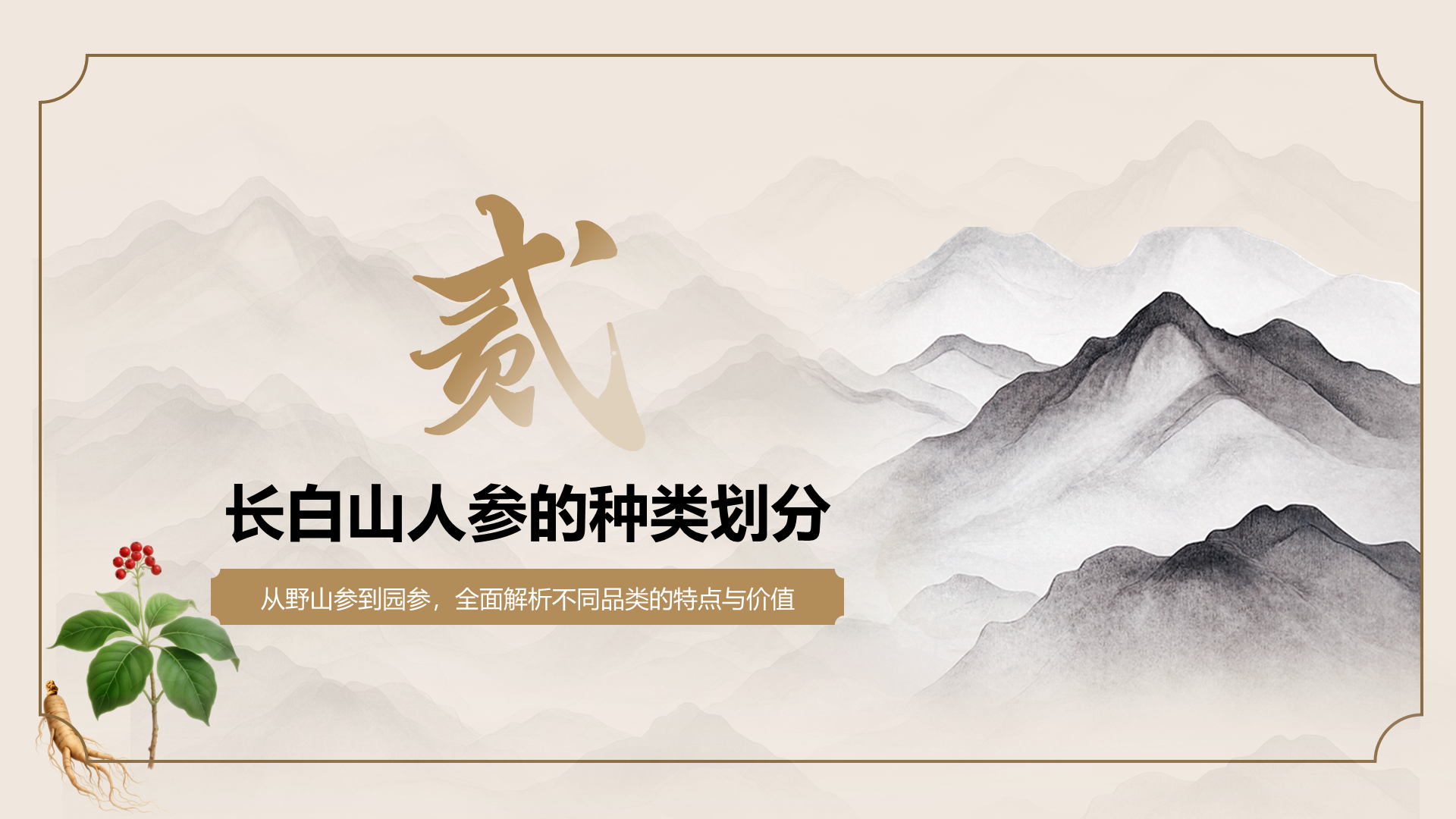 橙色国潮风长白山人参科普