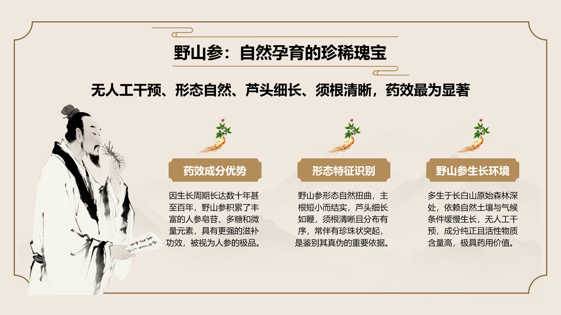 橙色国潮风长白山人参科普