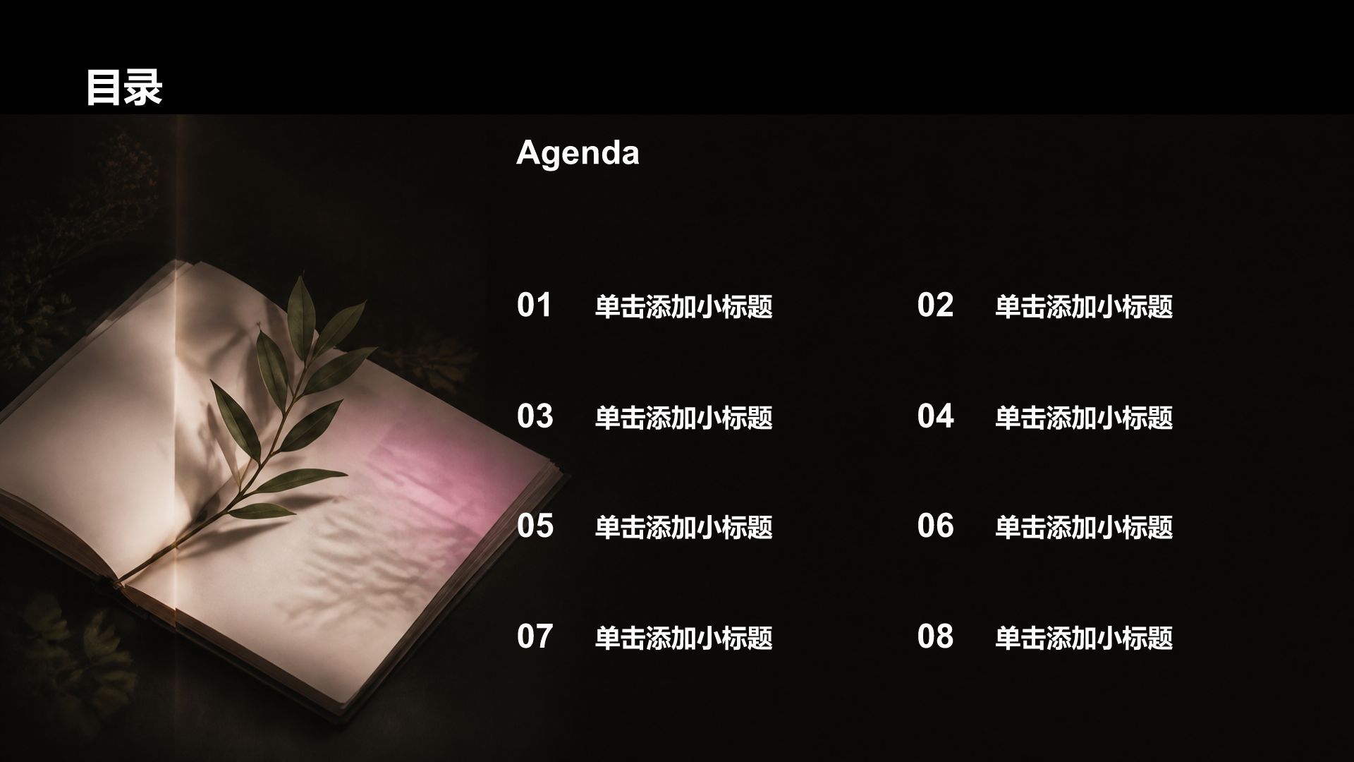 黑色创意风大学生职业生涯规划PPT模板