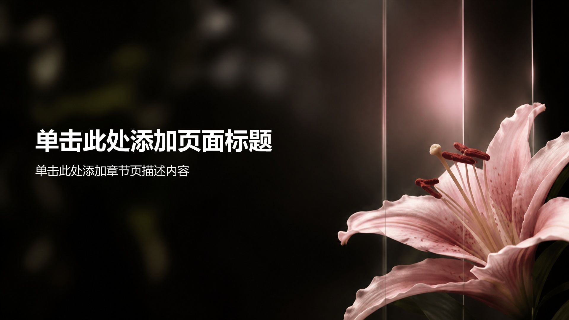 黑色创意风大学生职业生涯规划PPT模板
