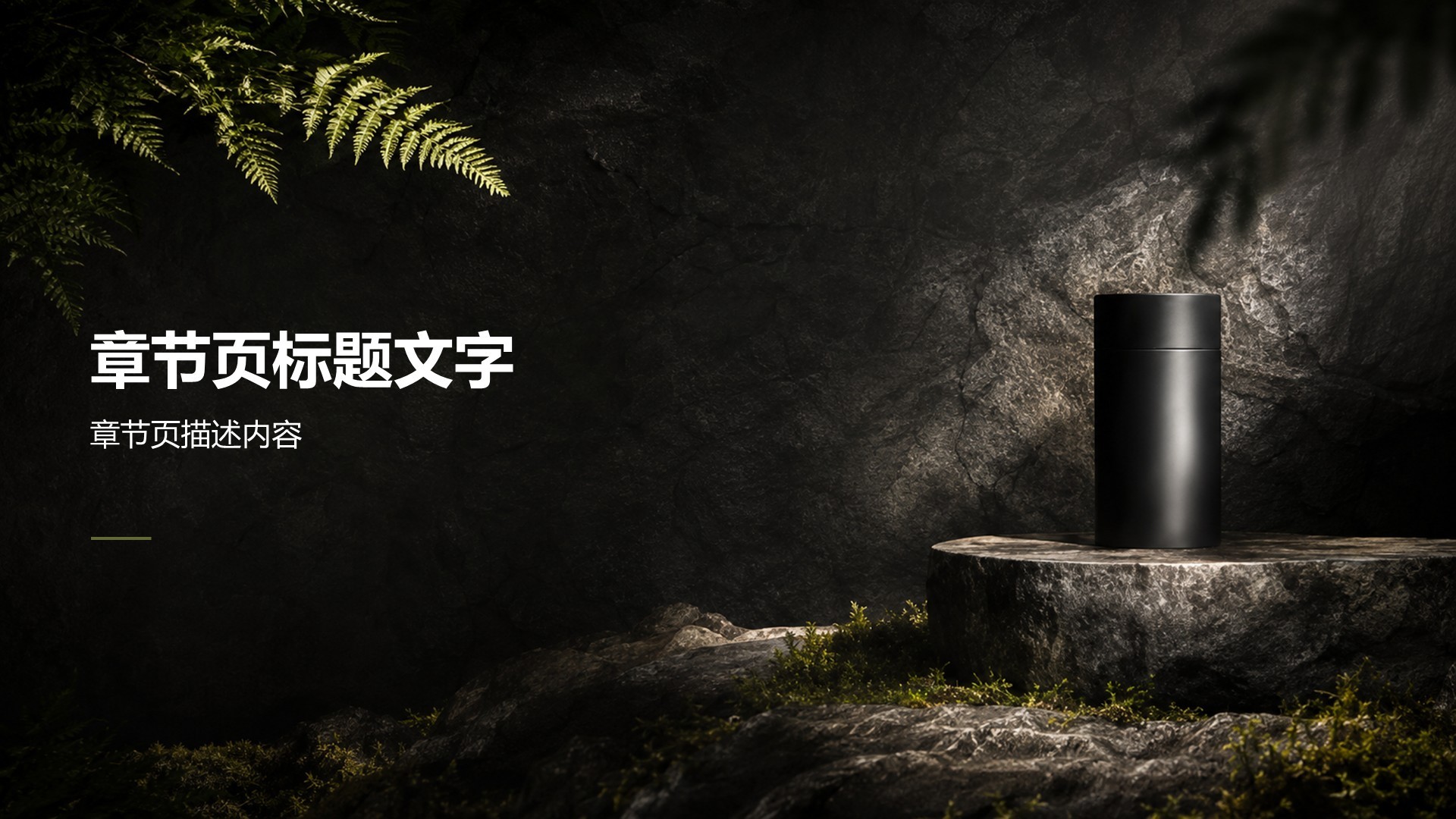 黑色商务风通用行业公司产品介绍