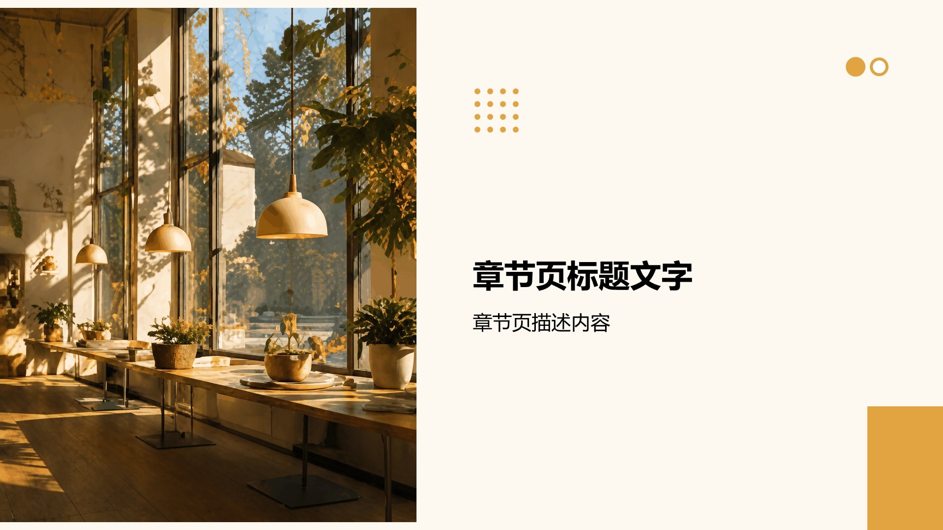 橙色摄影风大学生职业规划