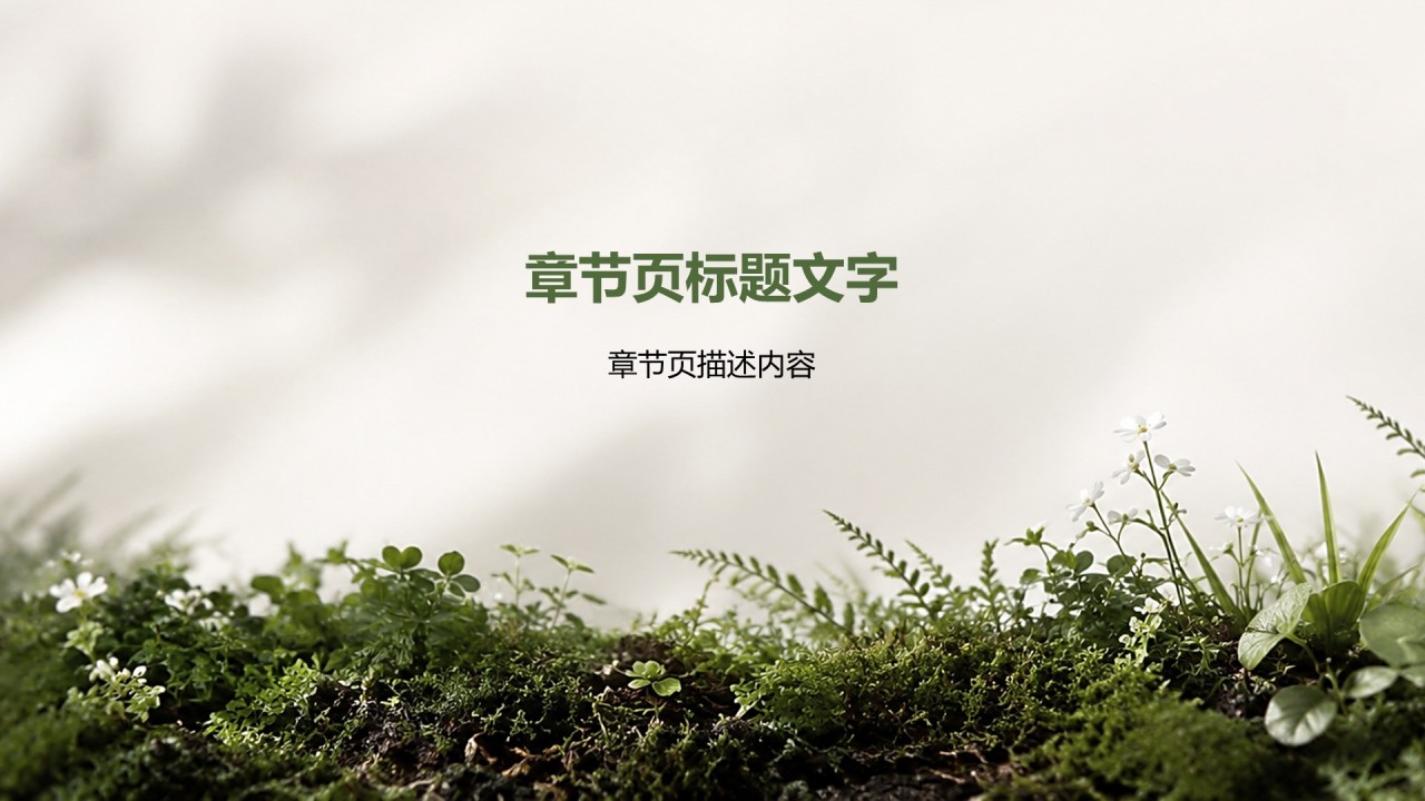 绿色商务风公司产品介绍PPT