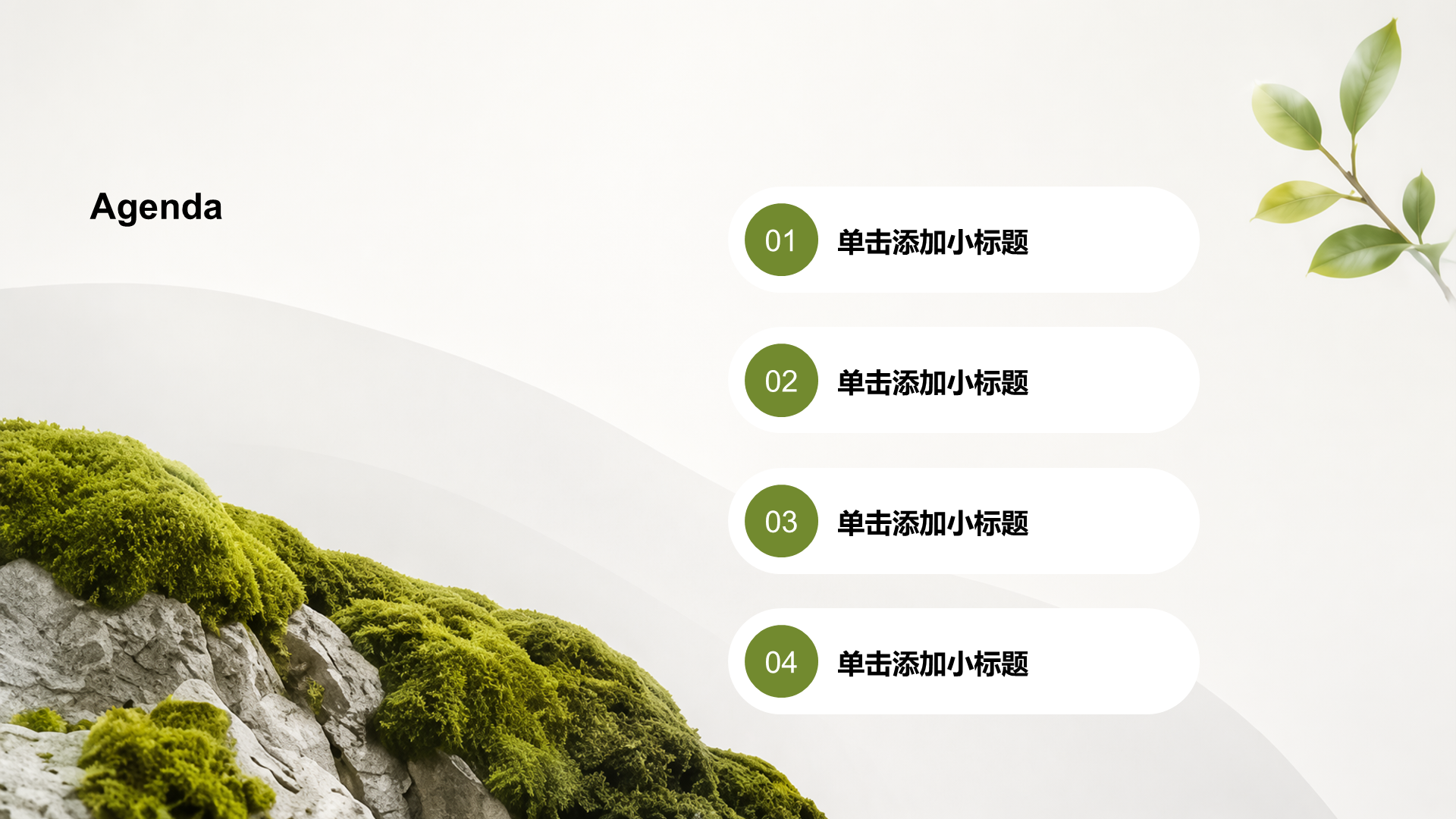 绿色摄影风公司产品介绍PPT模板