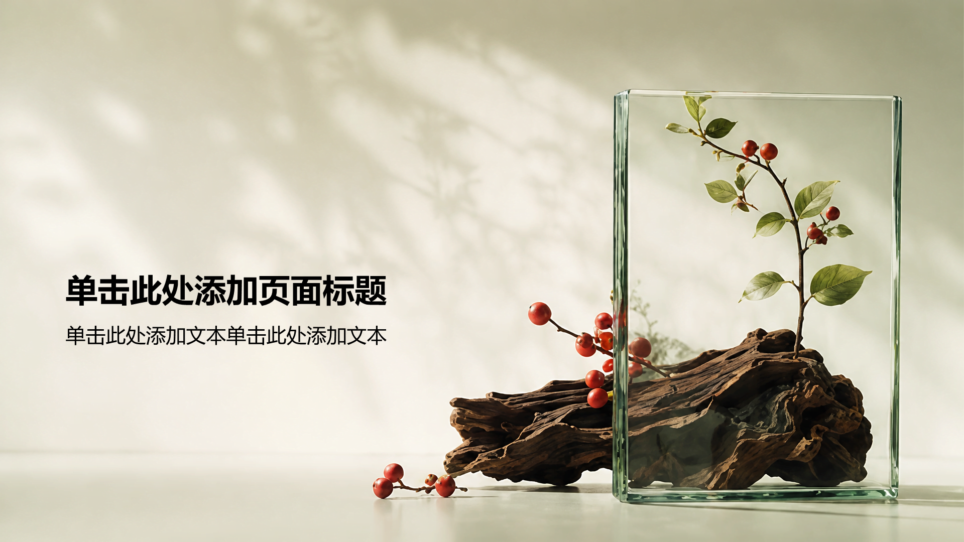 绿色摄影风产品介绍PPT模板
