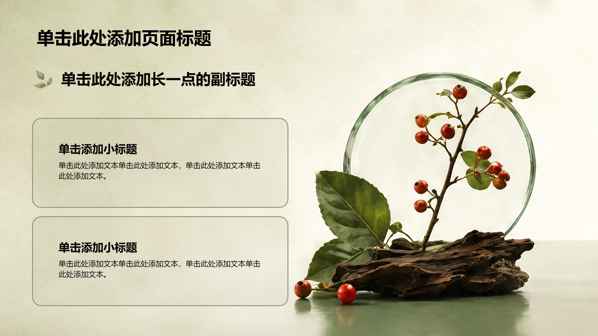 绿色摄影风产品介绍PPT模板