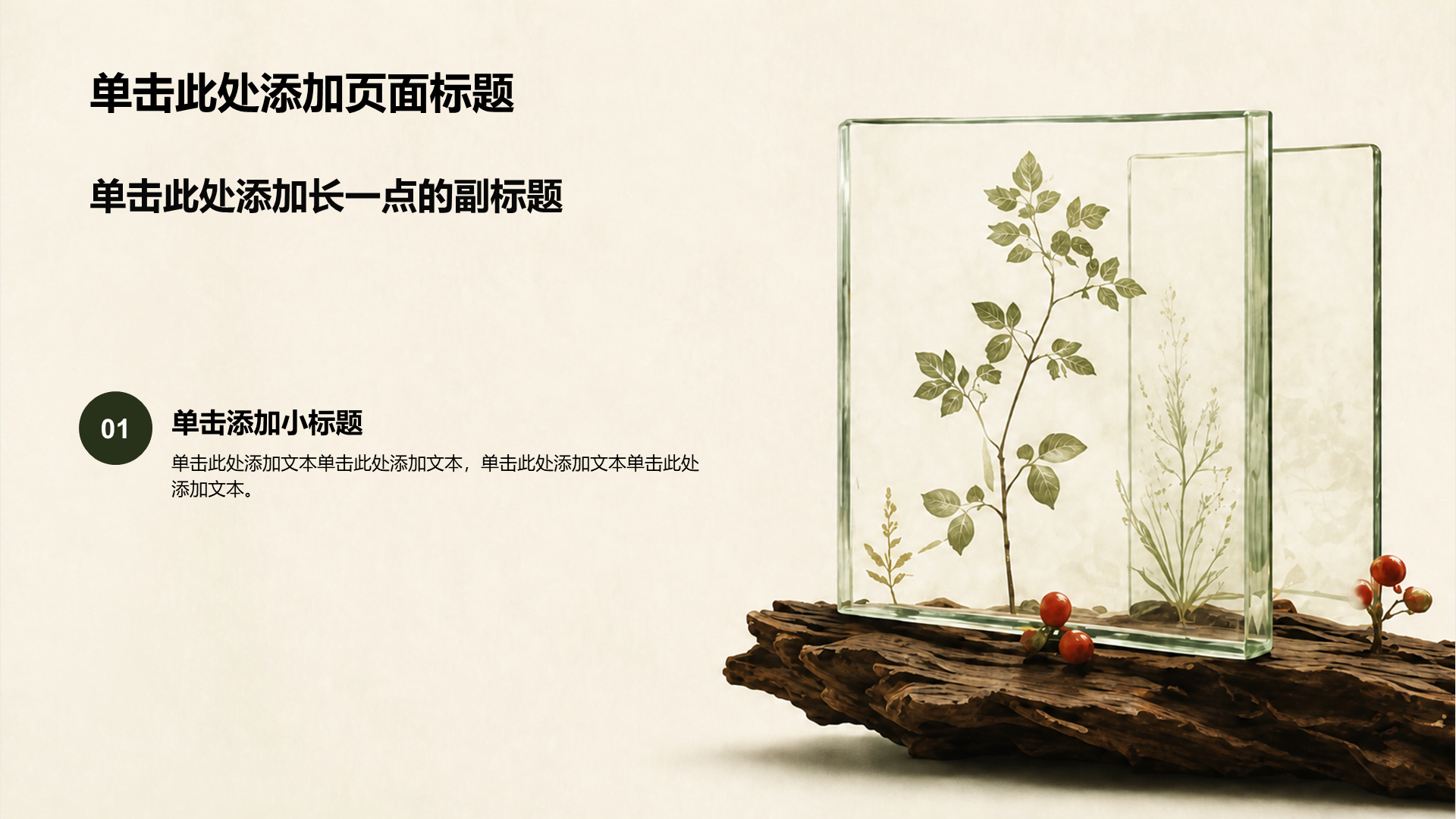绿色摄影风产品介绍PPT模板