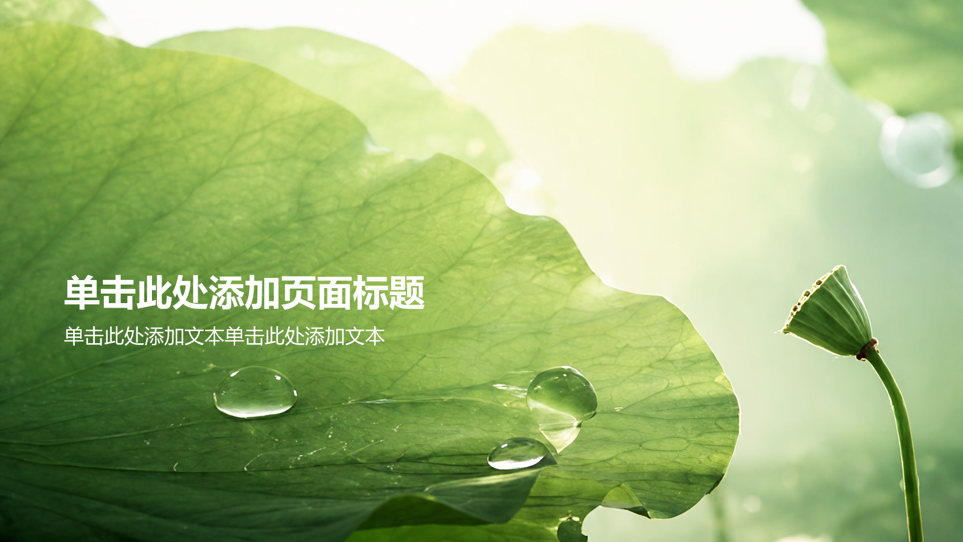绿色摄影风夏日活动主题班会PPT模板