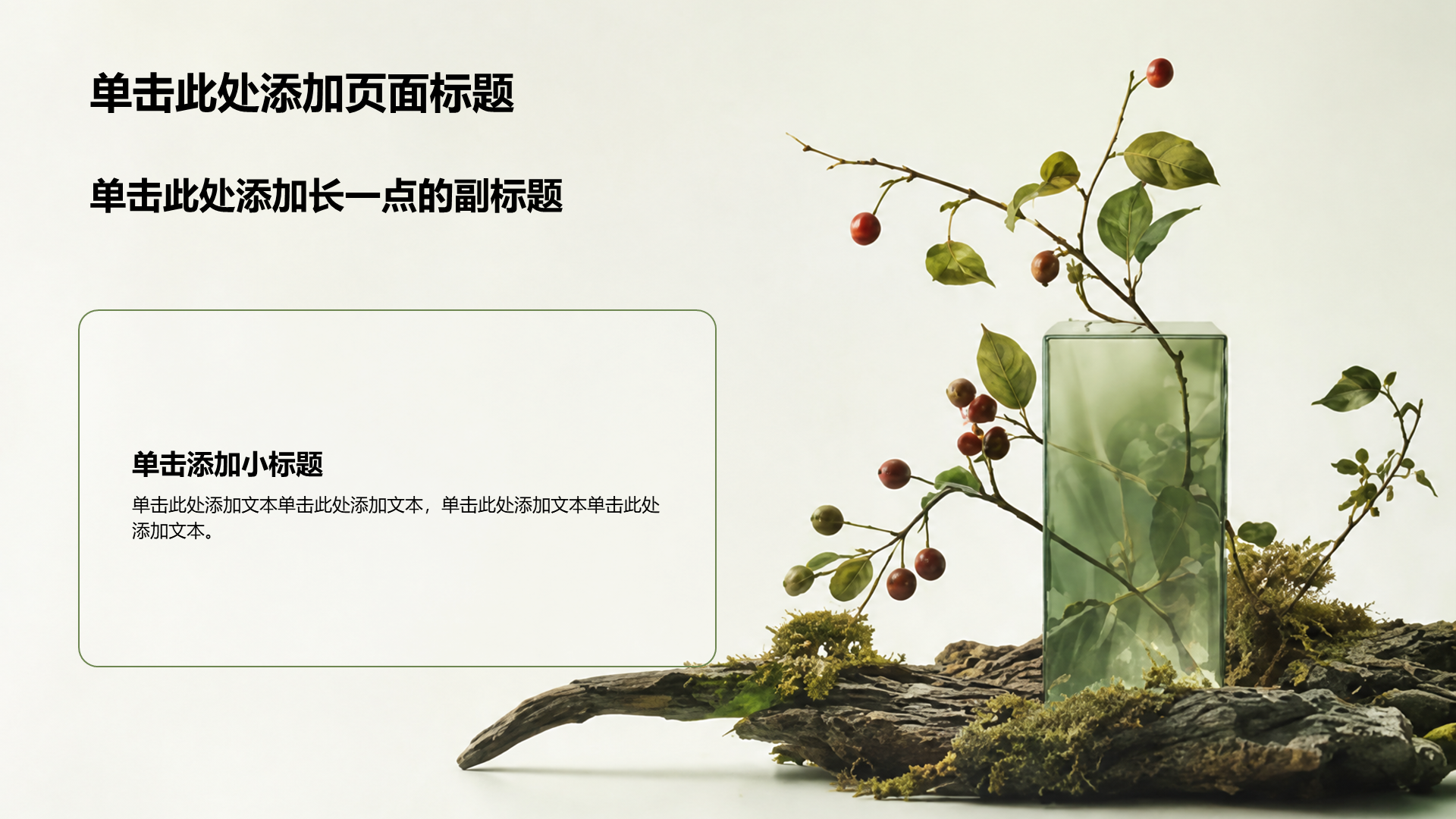 绿色摄影风公司通用产品介绍PPT模板