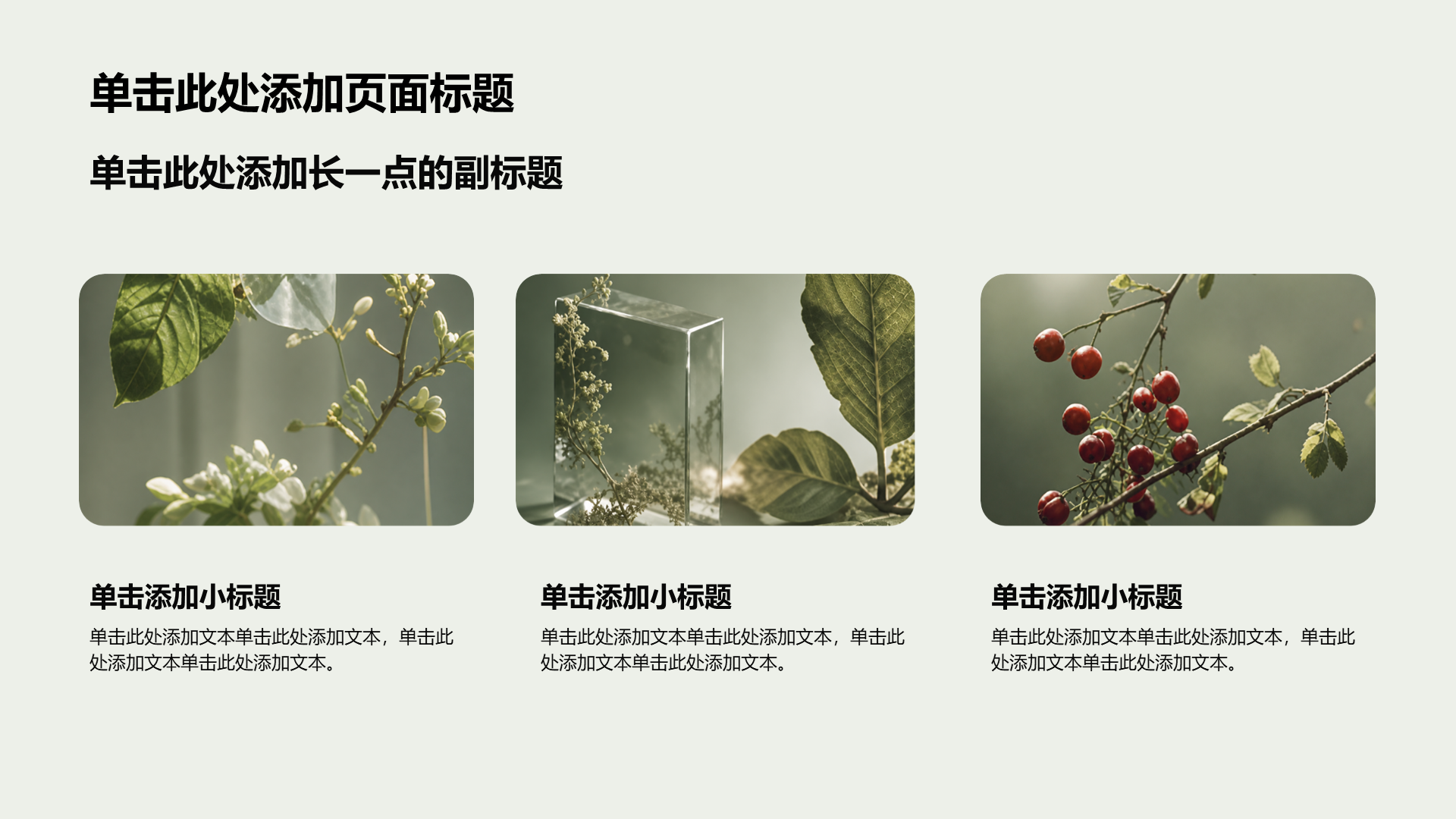 绿色摄影风公司通用产品介绍PPT模板