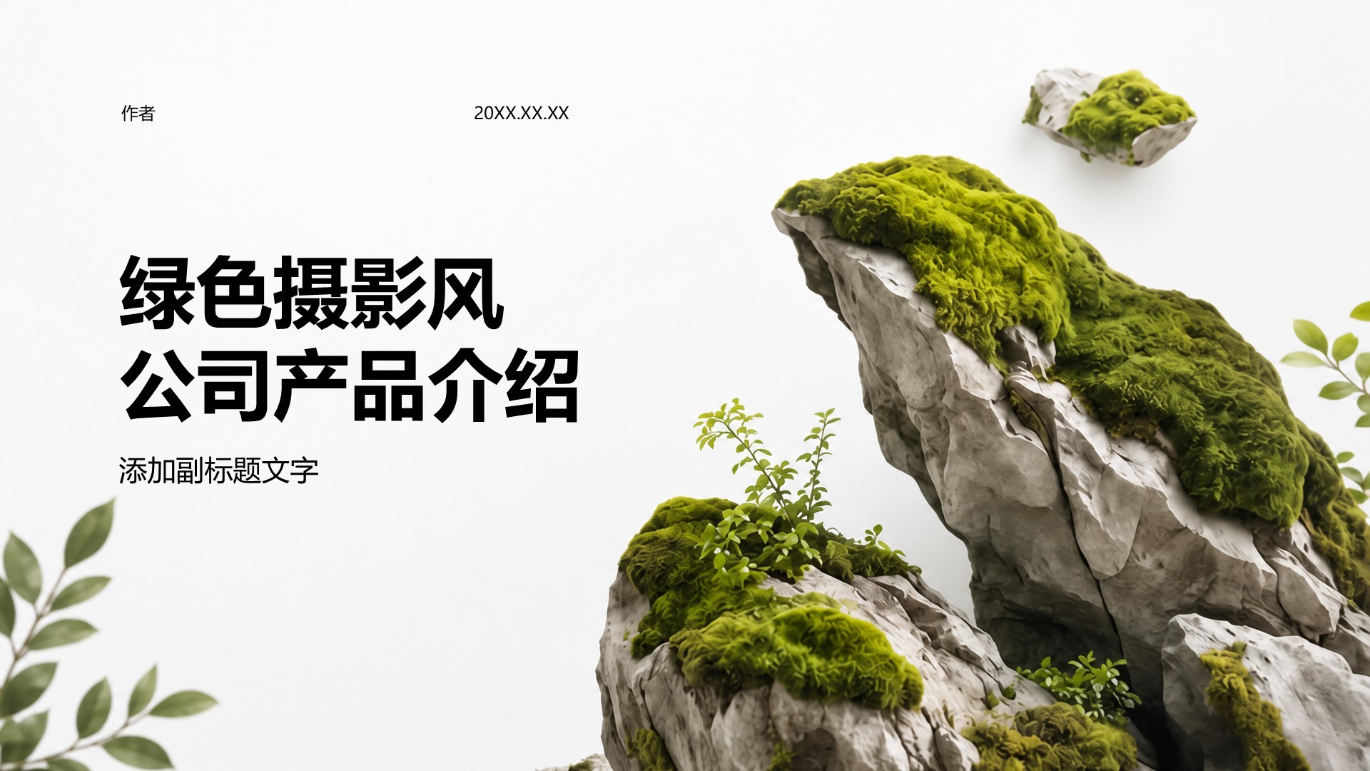 绿色摄影风公司产品介绍