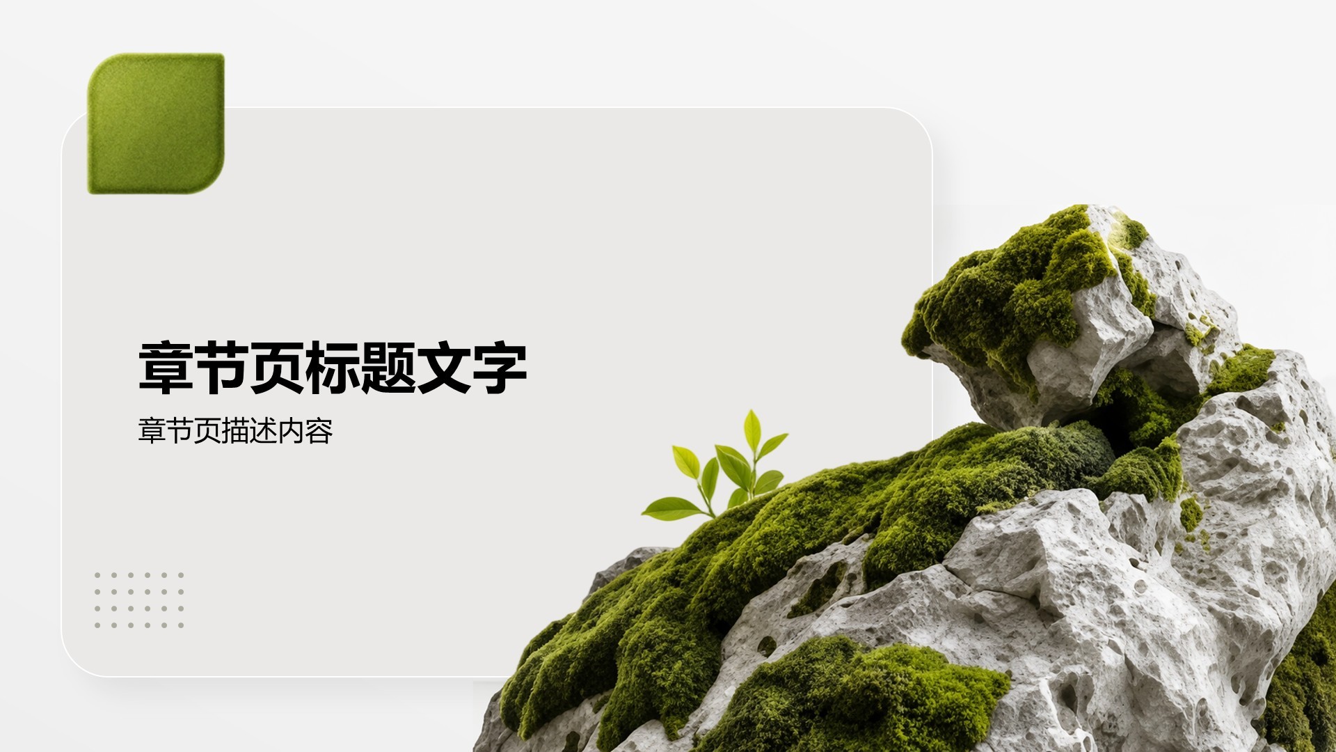 绿色摄影风公司产品介绍
