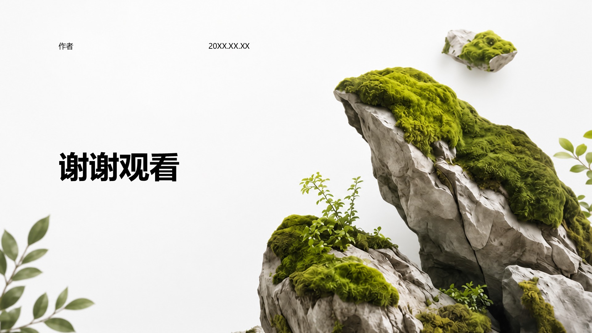 绿色摄影风公司产品介绍