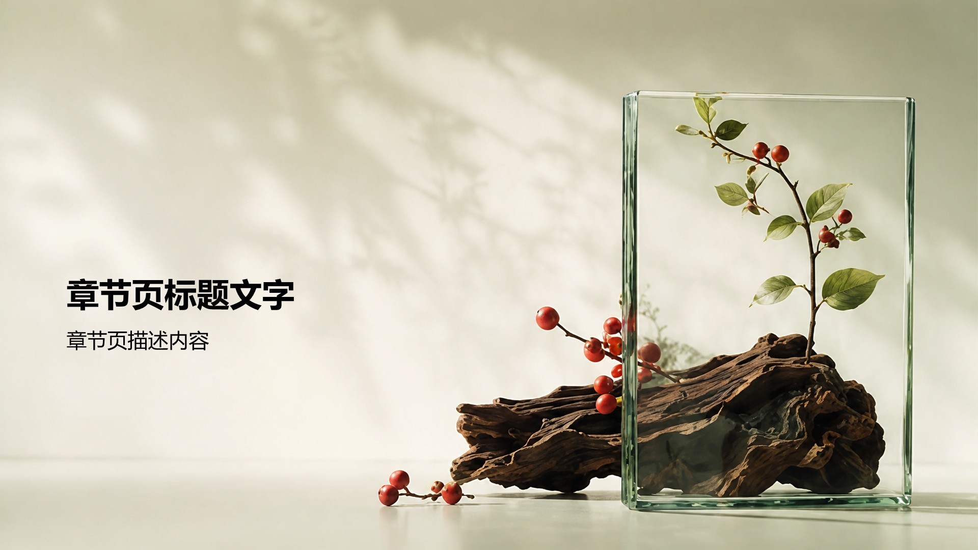绿色摄影风产品介绍