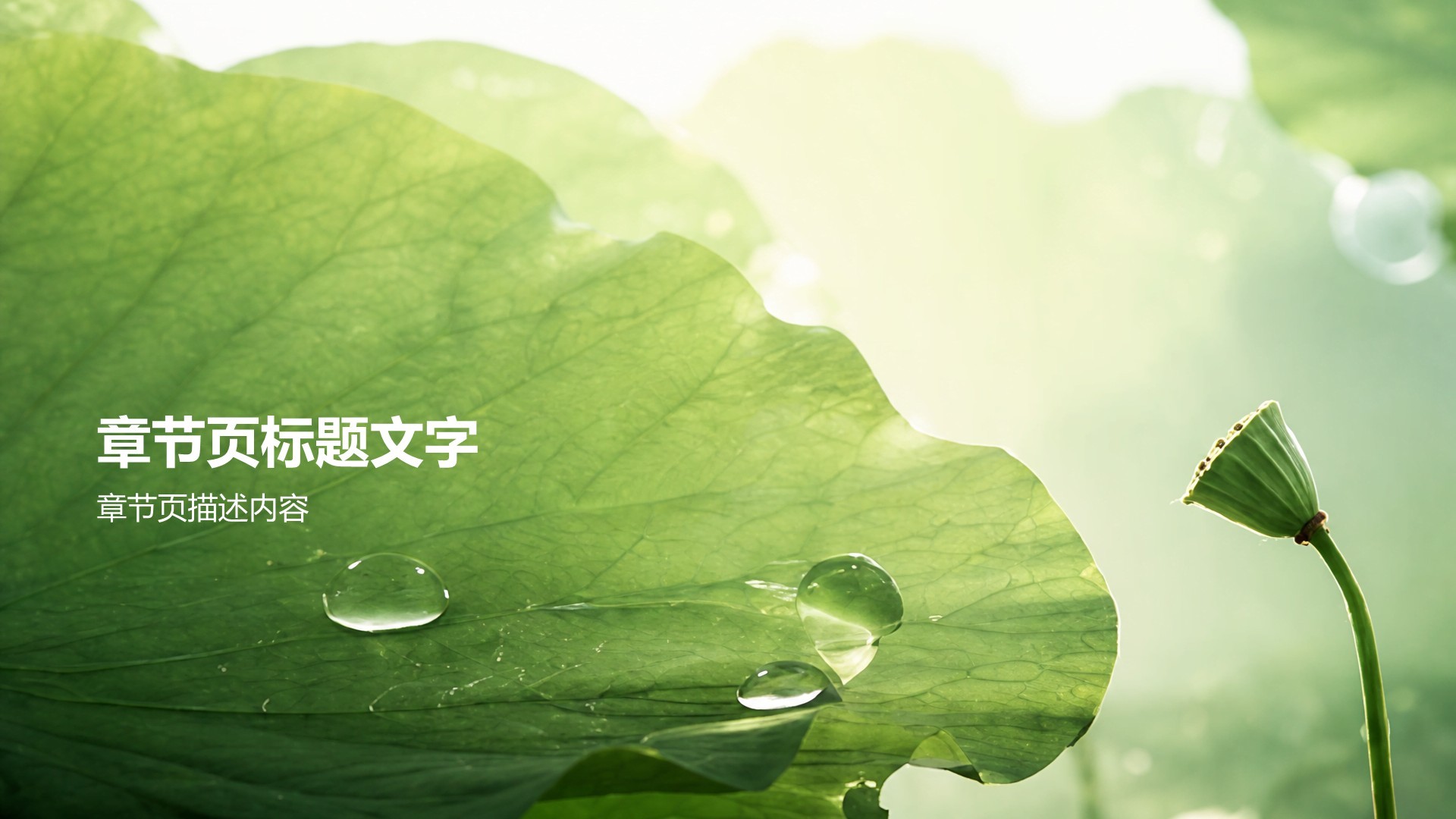夏日活动主题班会