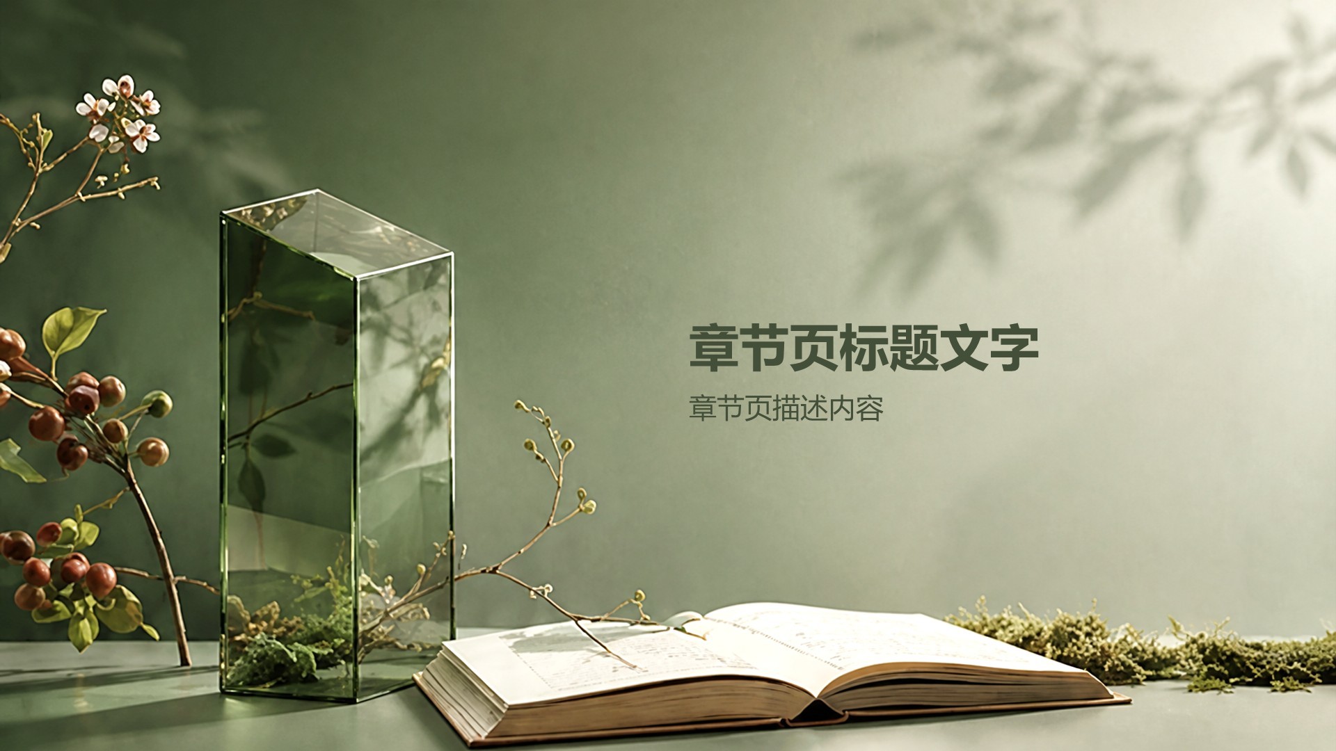 绿色摄影风公司通用产品介绍