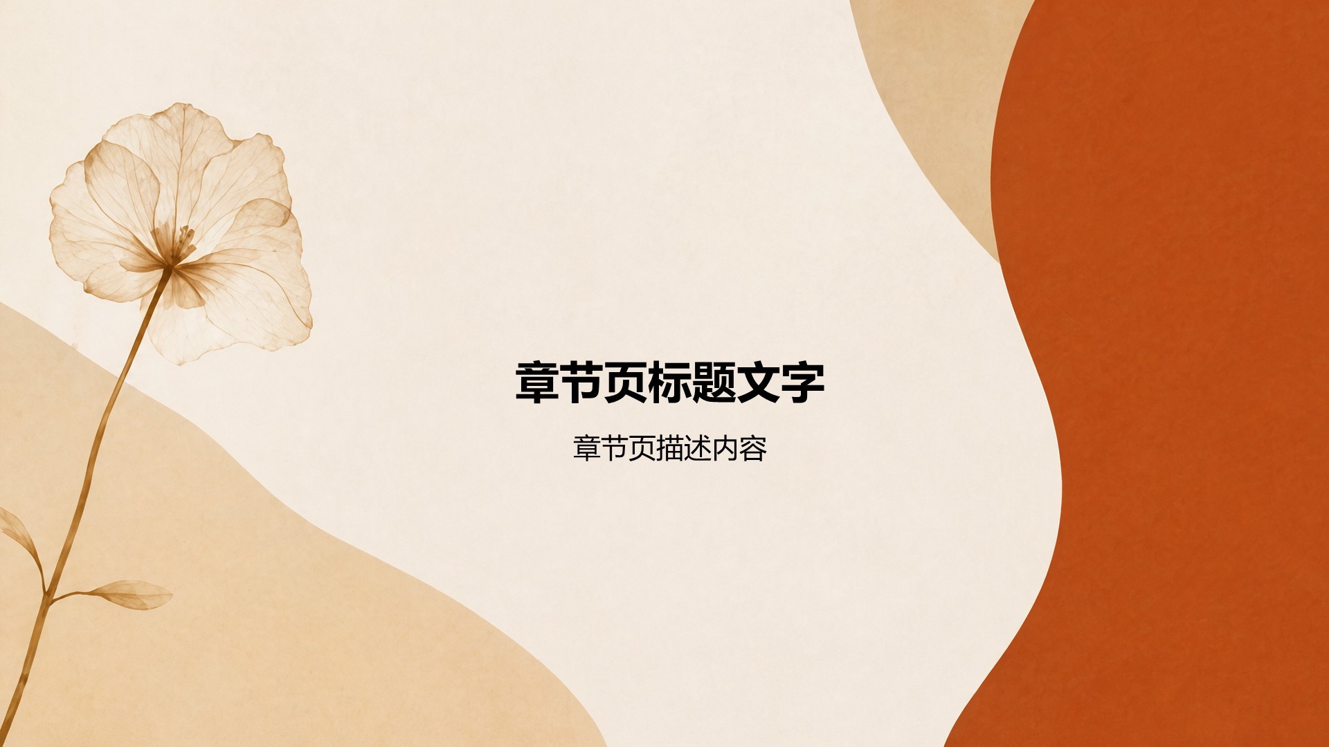棕色摄影风公司产品介绍