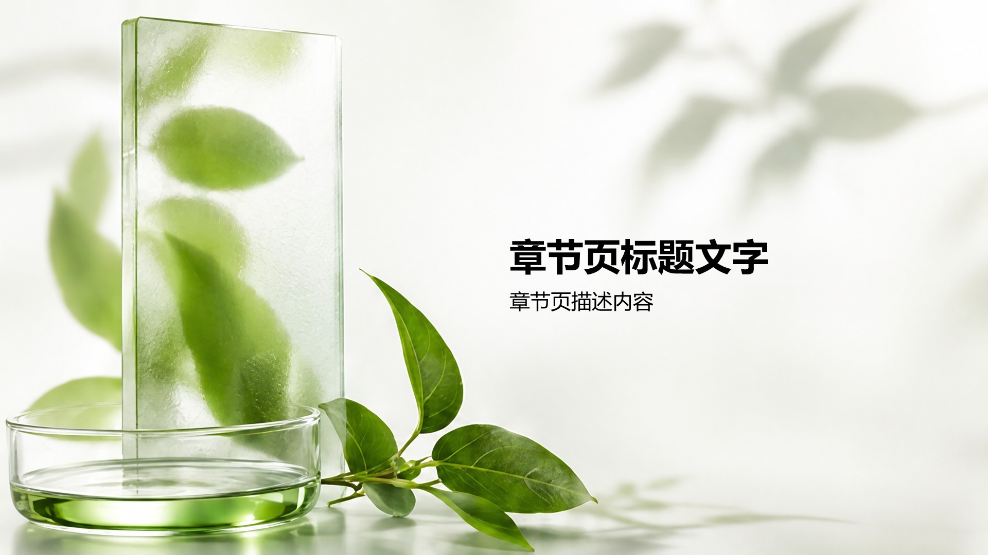 绿色商务风公司通用产品介绍