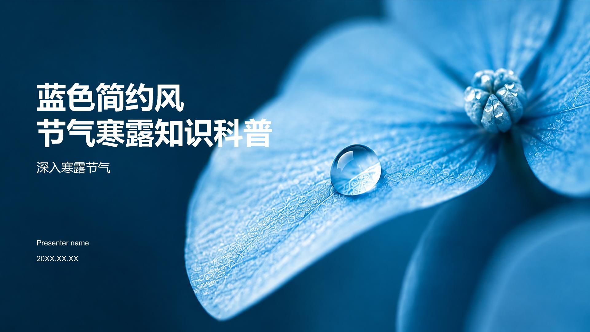 蓝色简约风节气寒露知识科普PPT模板