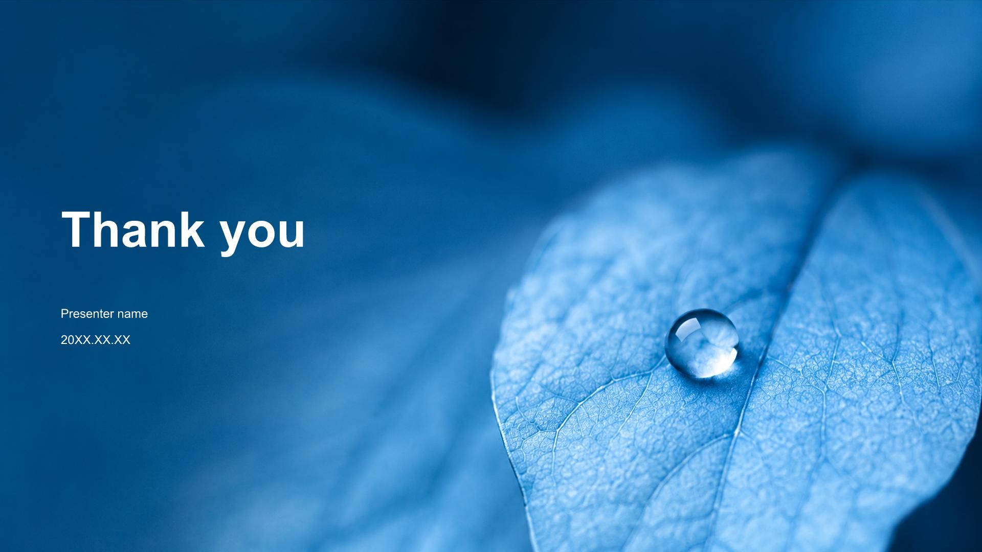 蓝色简约风节气寒露知识科普PPT模板