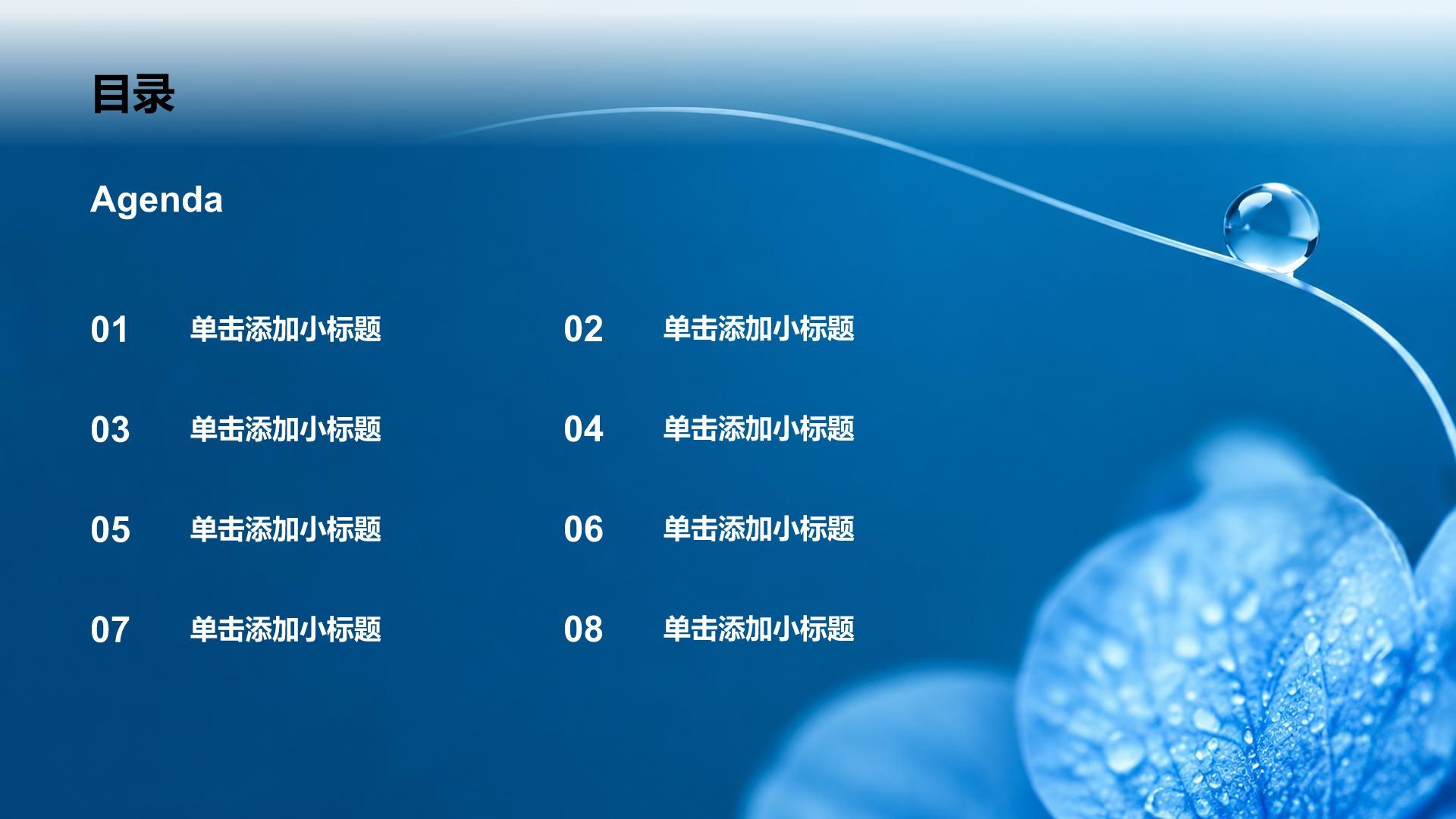 蓝色简约风节气寒露知识科普PPT模板