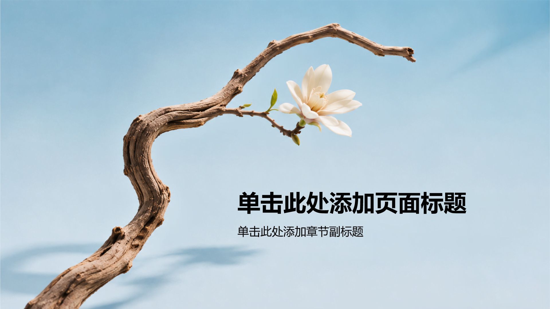 蓝色摄影风主题班会活动PPT模板