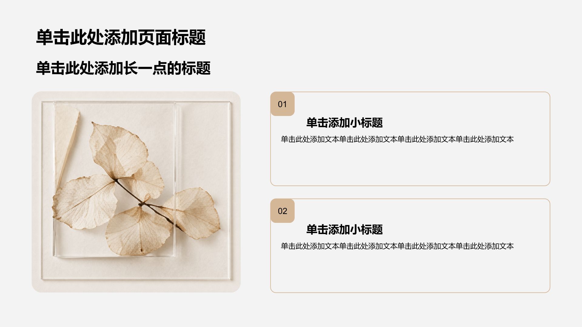 棕色简约风大学生职业生涯发展PPT模板