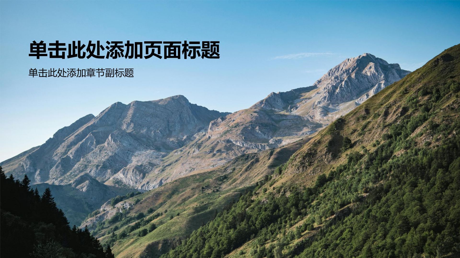 绿色摄影风内部培训行政培训PPT模板
