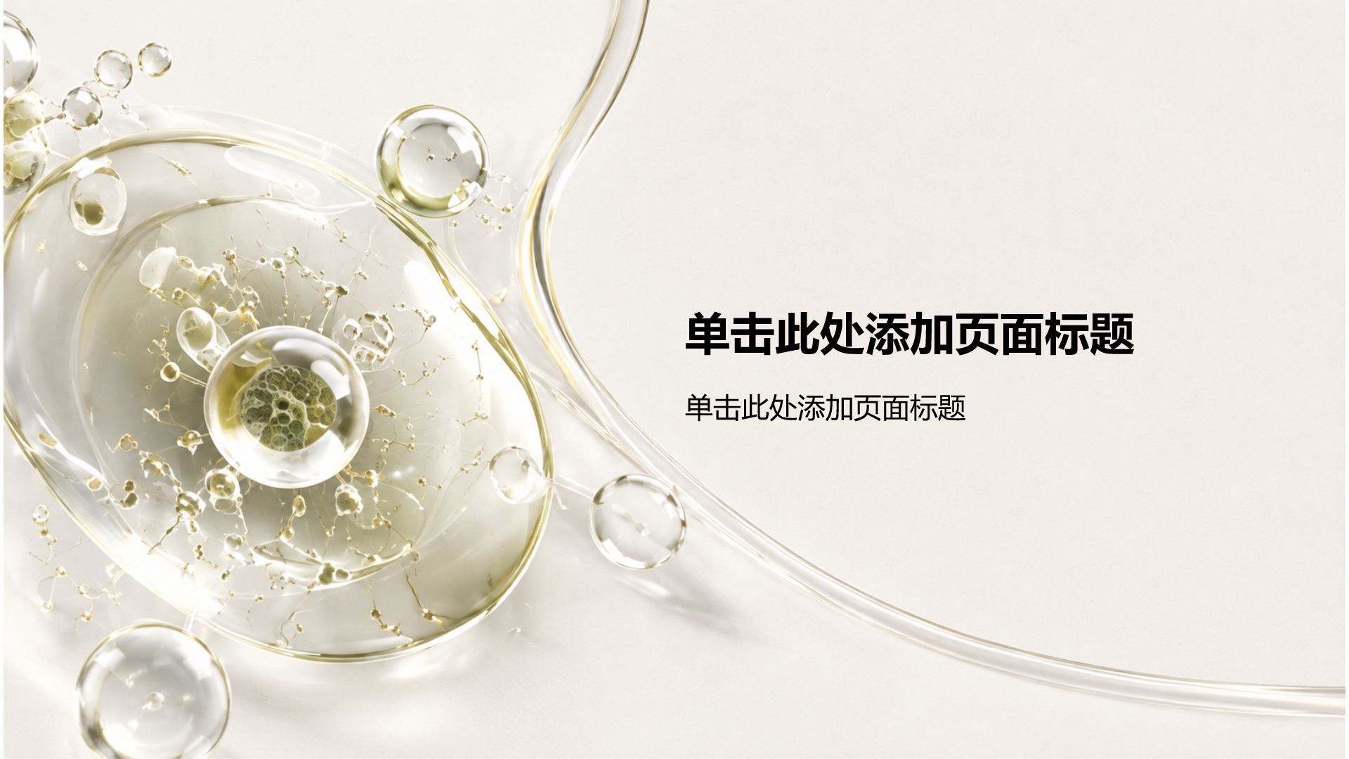 棕色简约风健康科普PPT模板