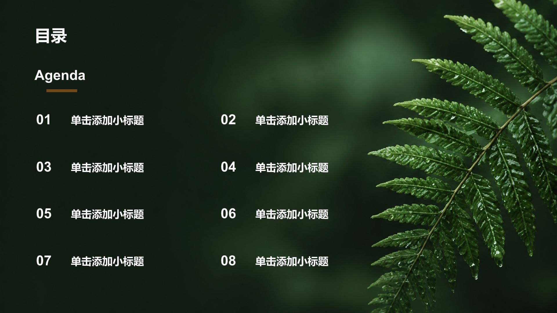 绿色摄影风通用行业商业计划书PPT模板