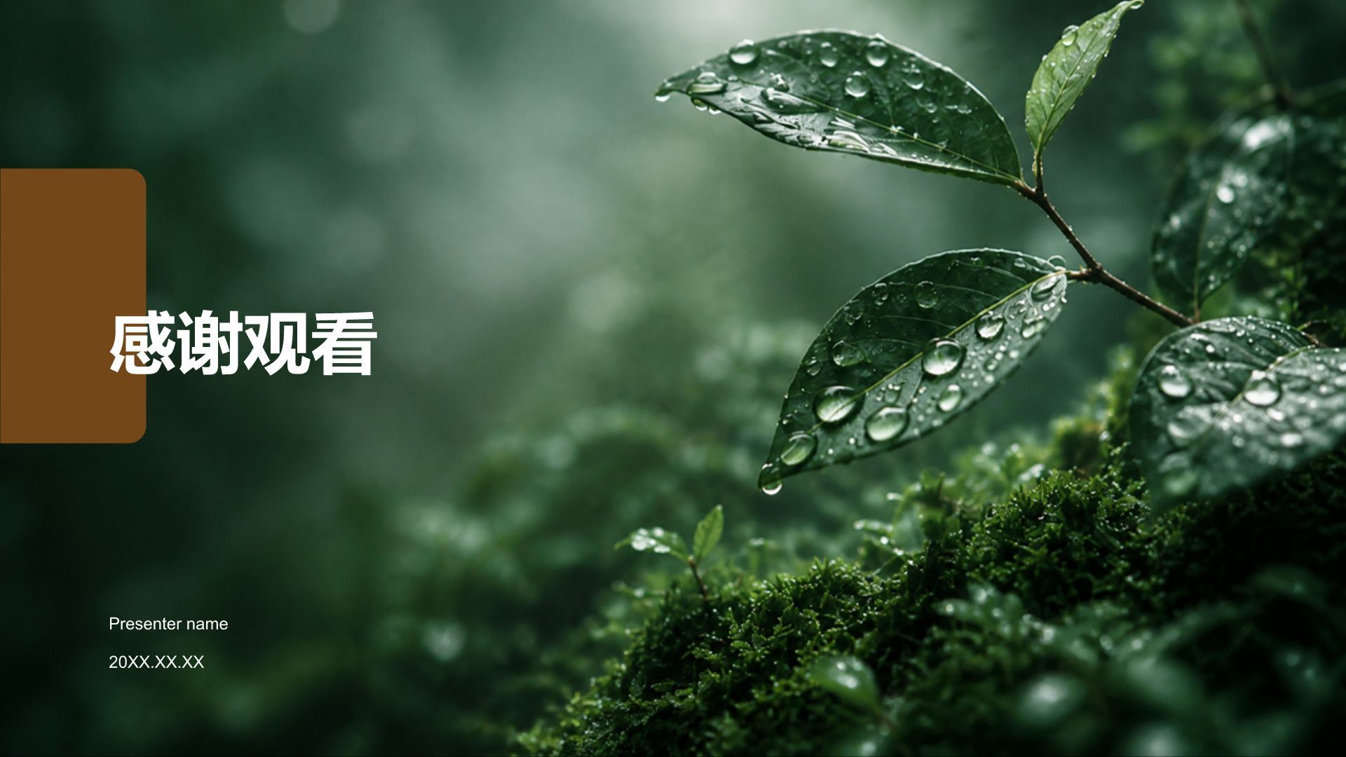 绿色摄影风通用行业商业计划书PPT模板