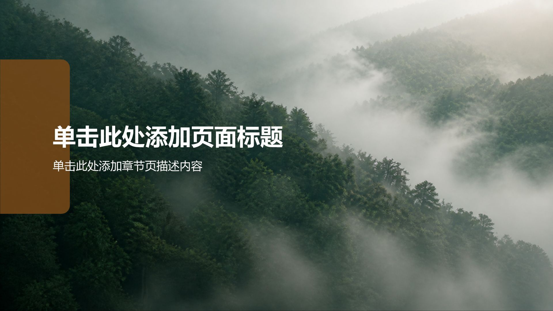 绿色摄影风通用行业商业计划书PPT模板