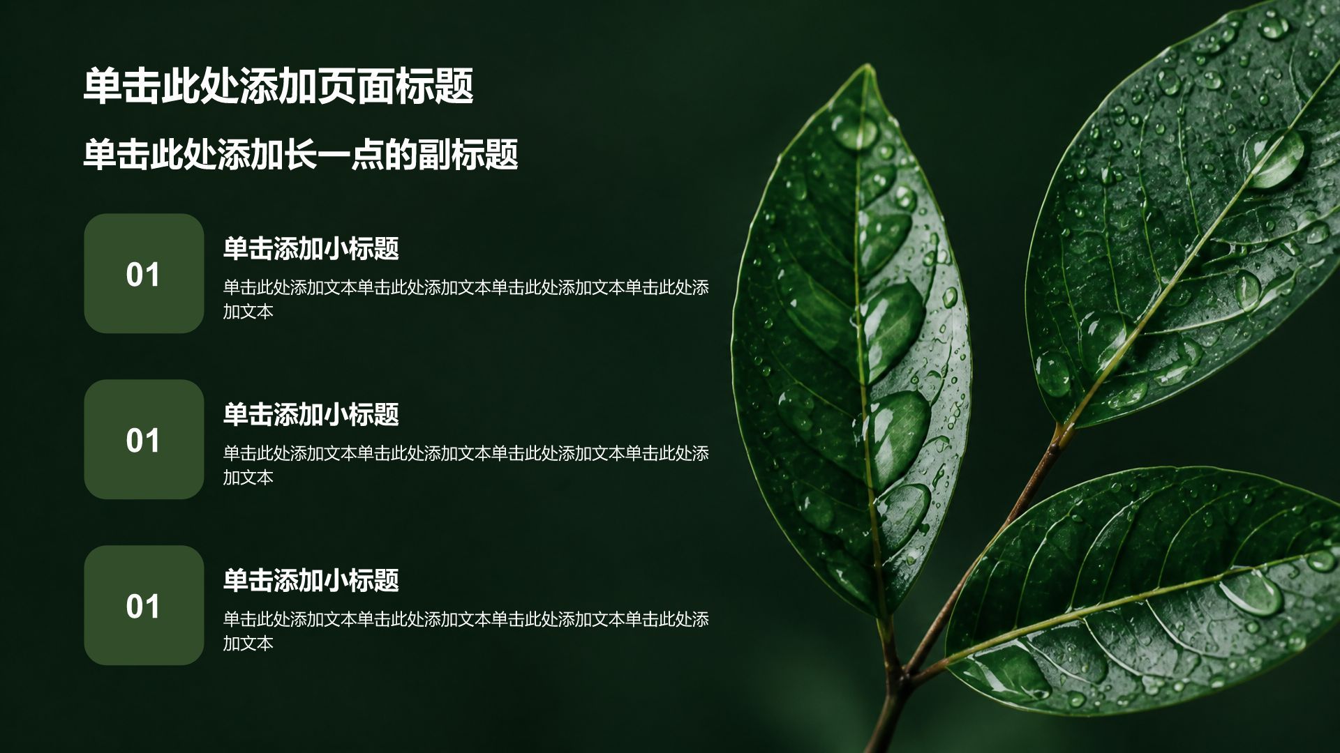 绿色摄影风通用行业商业计划书PPT模板