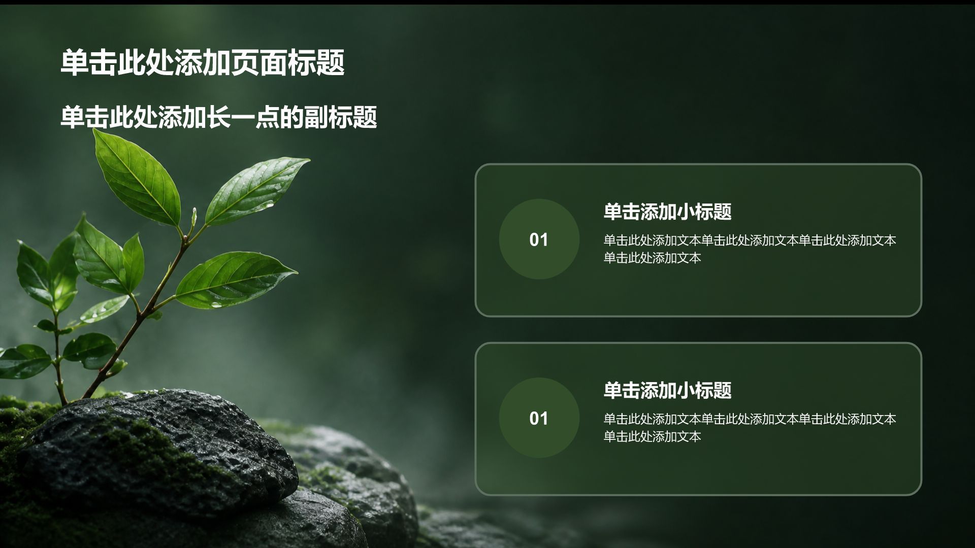 绿色摄影风通用行业商业计划书PPT模板