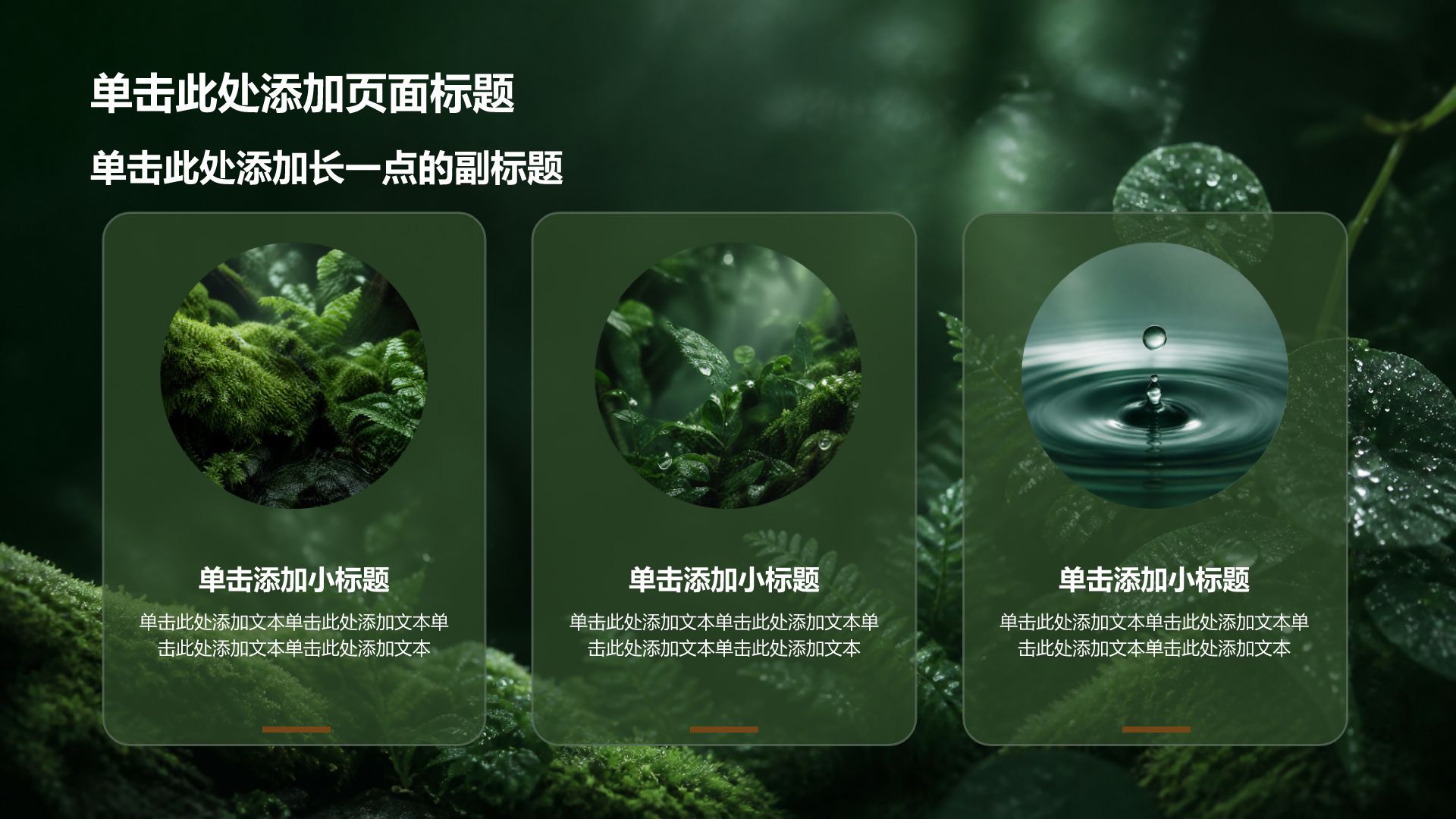 绿色摄影风通用行业商业计划书PPT模板