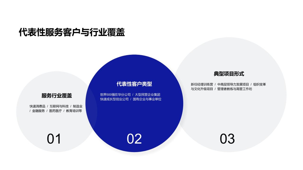 蓝色简约风专家履历介绍PPT模板