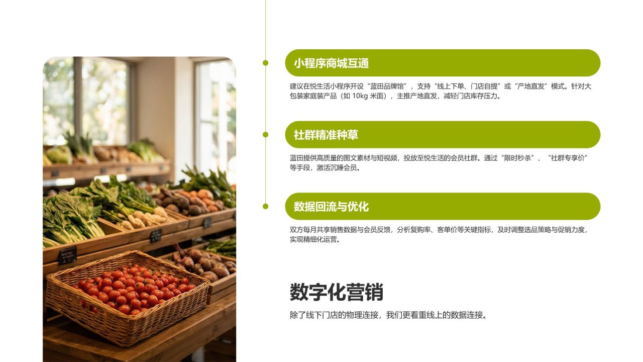 绿色商务风零售品牌战略合作提案PPT模板
