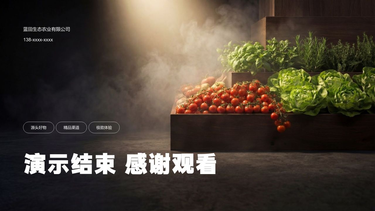 绿色商务风零售品牌战略合作提案PPT模板