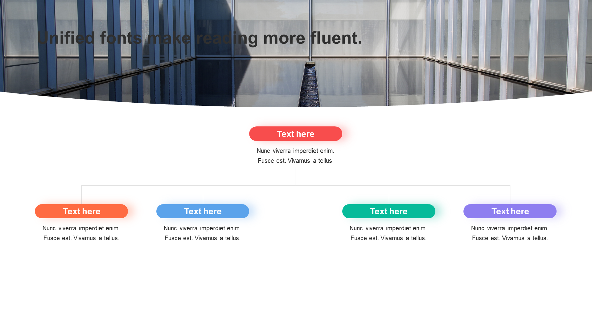 Shadow the PPT hierarchy