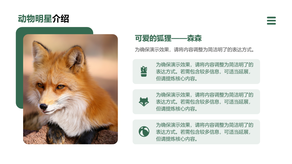 创意风动物介绍PPT列表