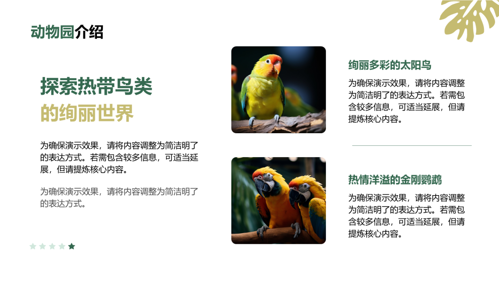 创意风动物介绍PPT列表