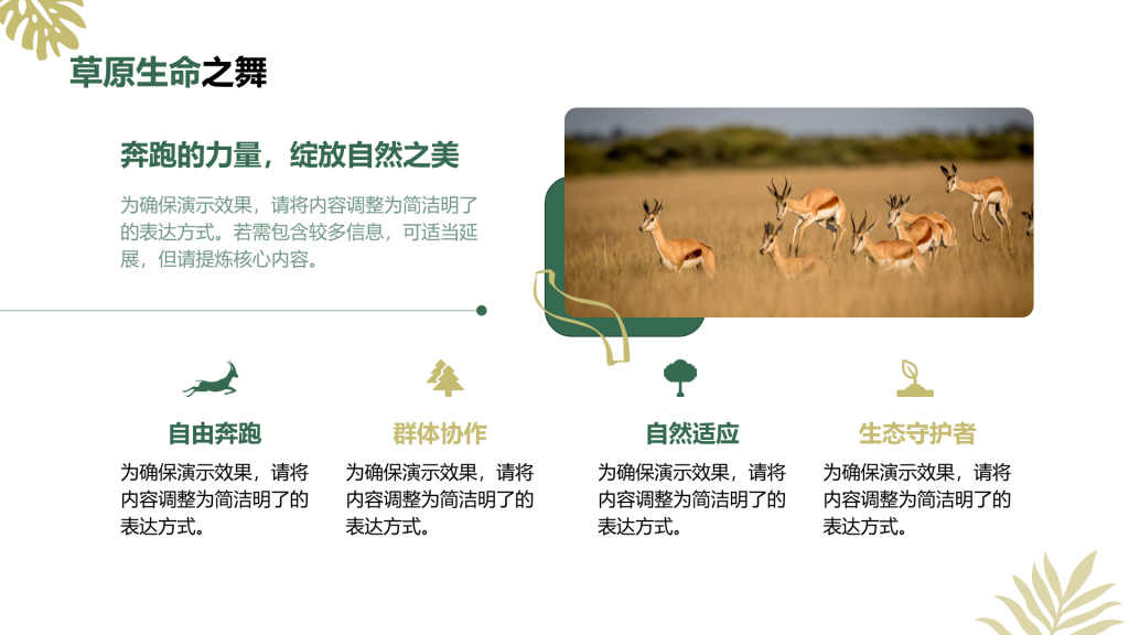 创意风动物介绍PPT列表