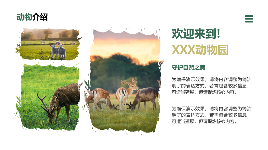创意风动物介绍PPT列表