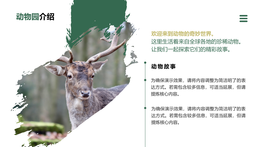 创意风动物介绍PPT流程