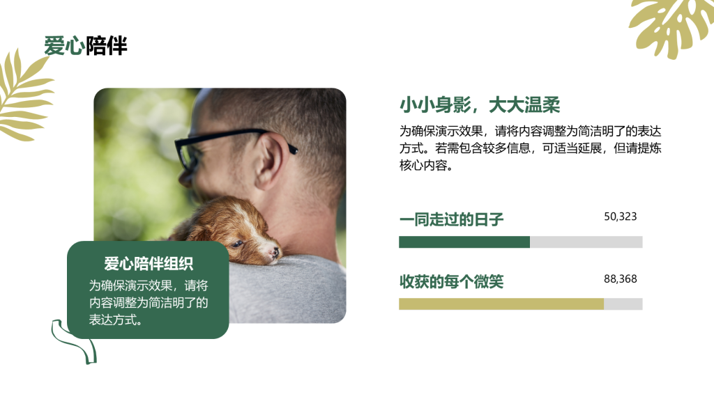 创意风动物介绍PPT列表