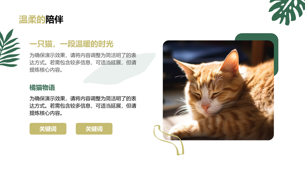 创意风动物介绍PPT列表