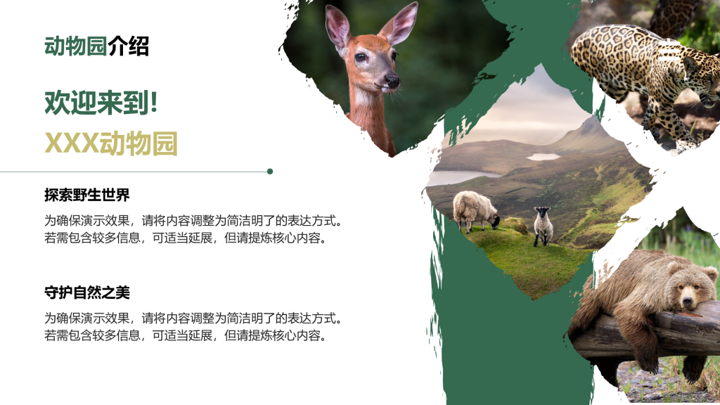 创意风动物介绍PPT列表