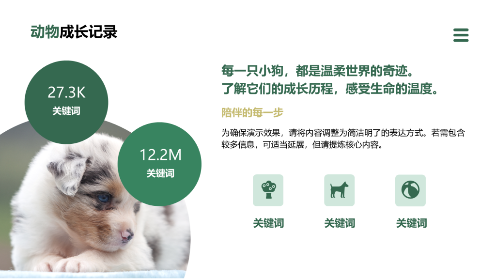 创意风动物介绍PPT列表